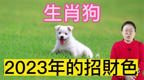 生肖狗 幸運色|【生肖狗幸運顏色】生肖狗必看！2024年幸運色大公。